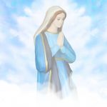 BVM_image_Masstimes_Aug19